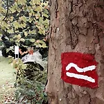 호흐하이드 호텔 빌링겐