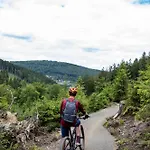 호텔 호흐하이드 4*