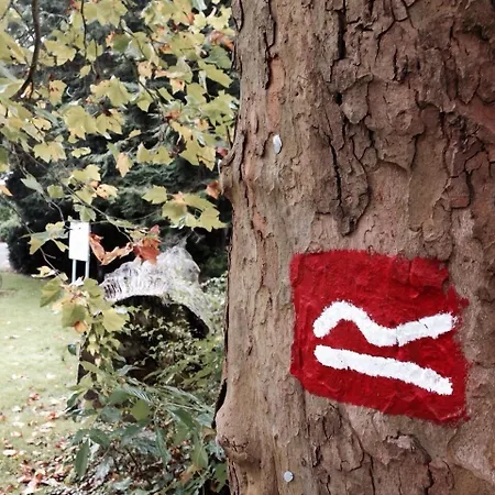 Hochheide Hotell Willingen (Upland)