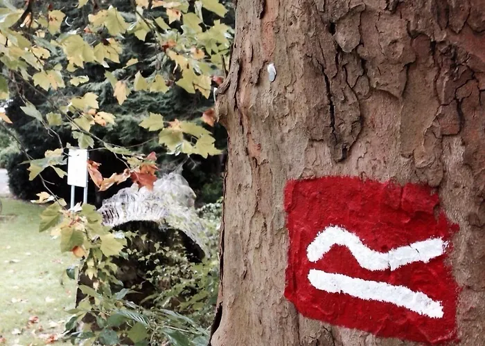 호흐하이드 호텔 빌링겐