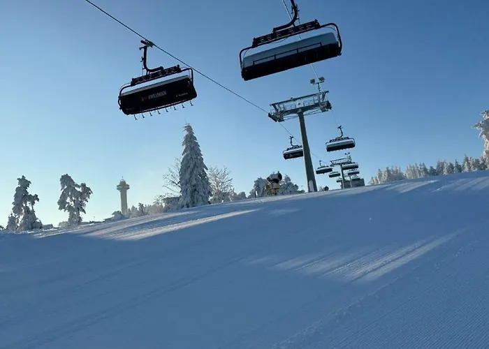 호흐하이드 4* 빌링겐