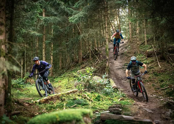 호흐하이드 호텔